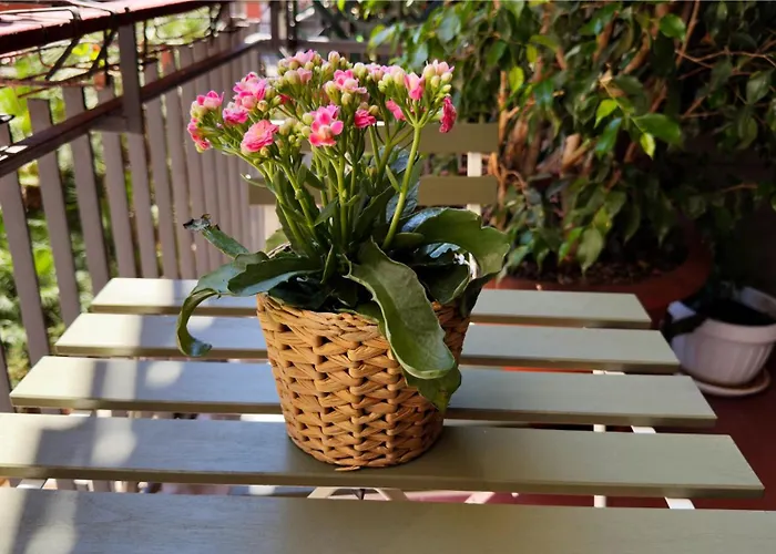 Apartment Petershouse Bari